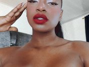 Model profile