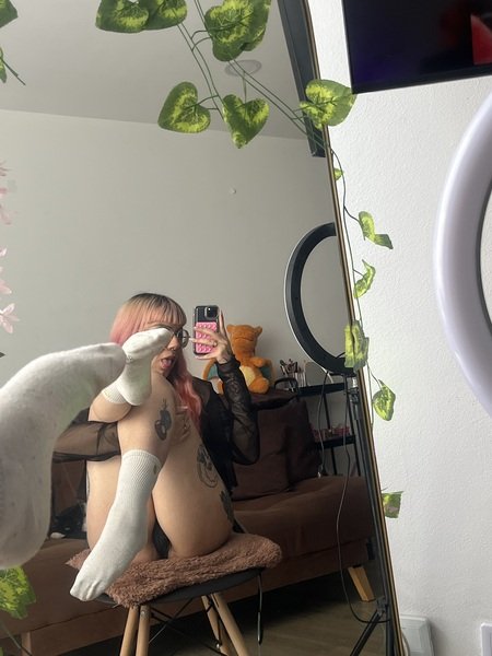 Kallyspicy