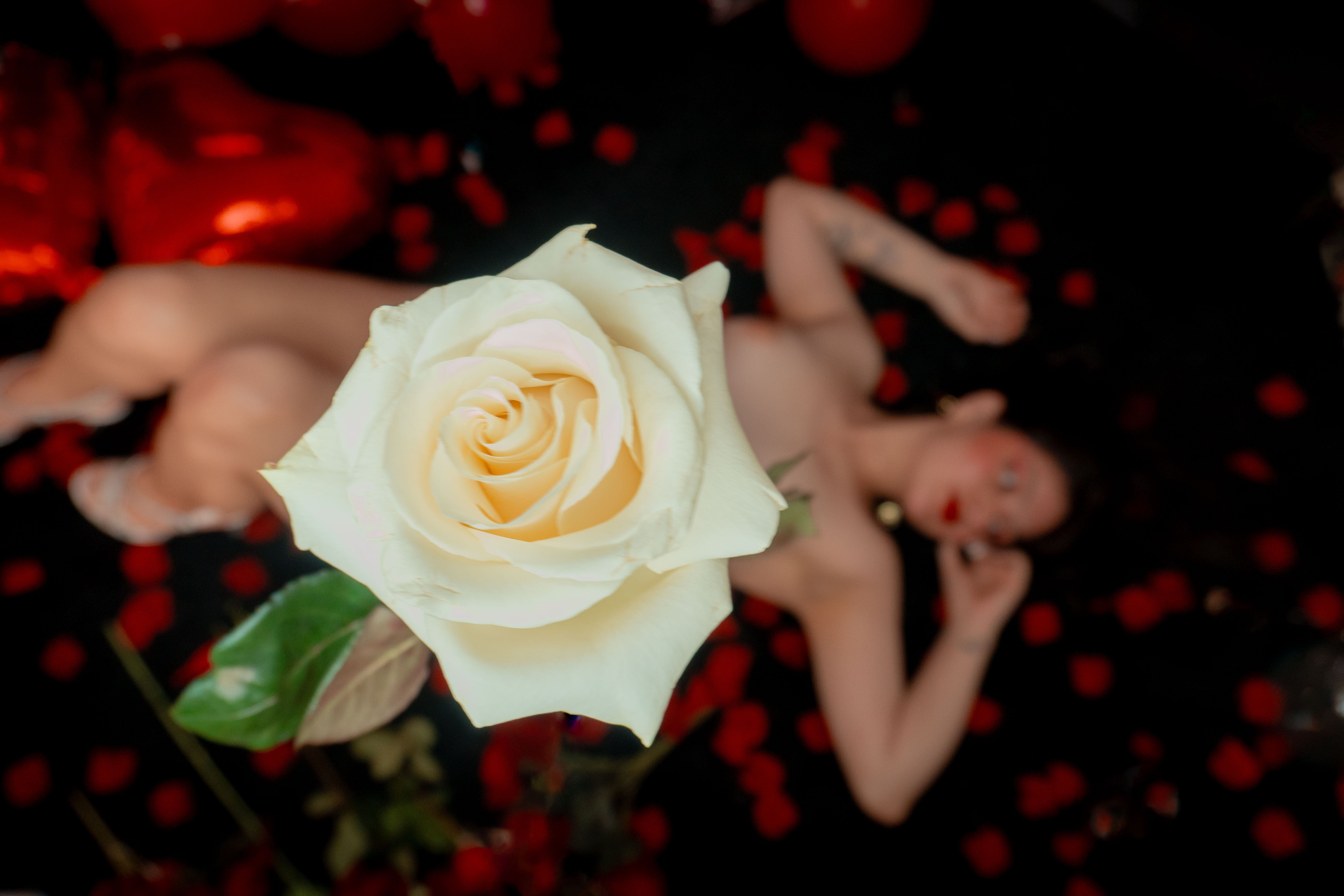LUCY_FLOR