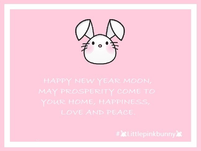 LittlePinkBunnny