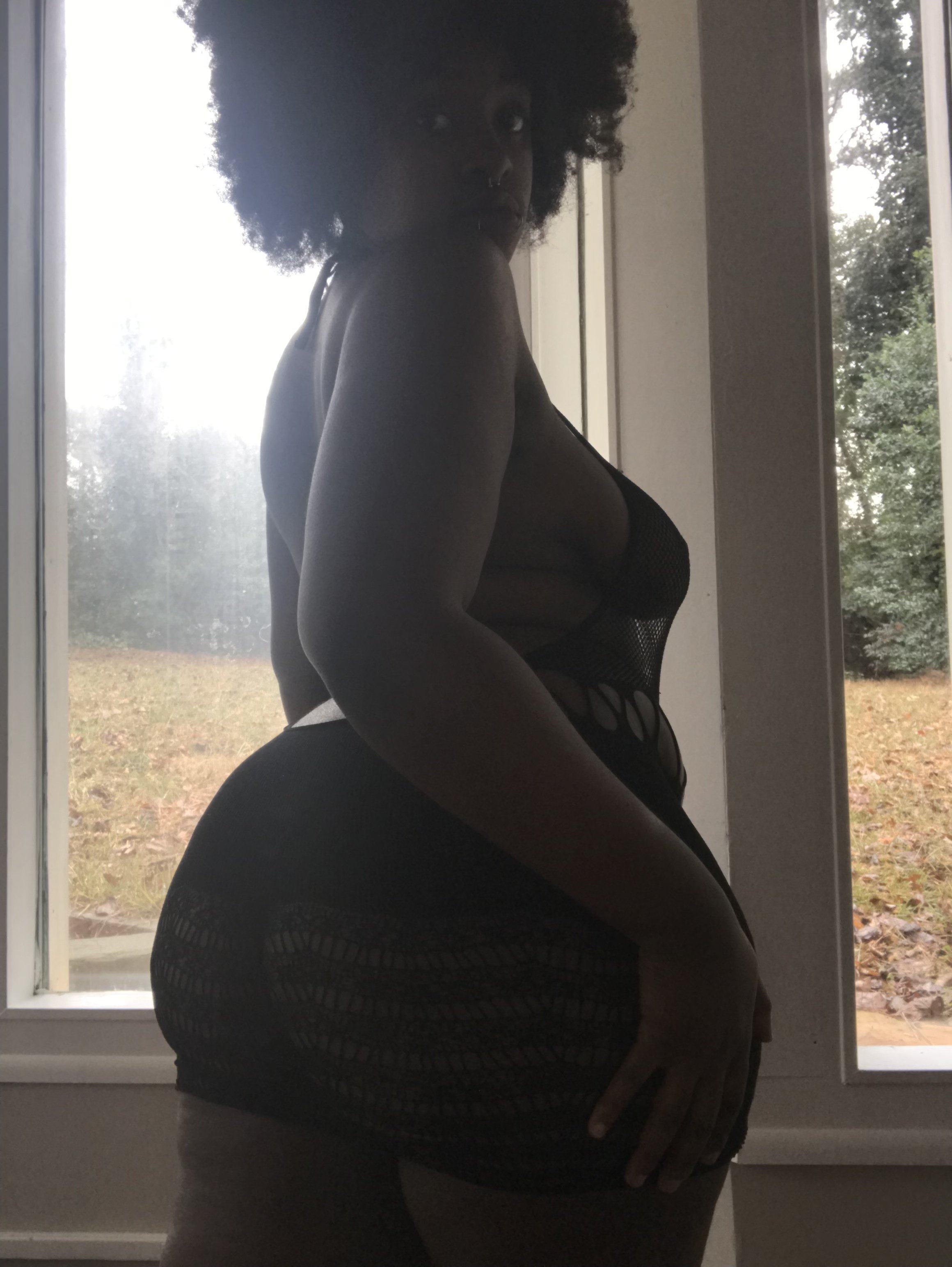 Loyalbambi