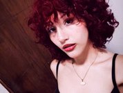 Model profile