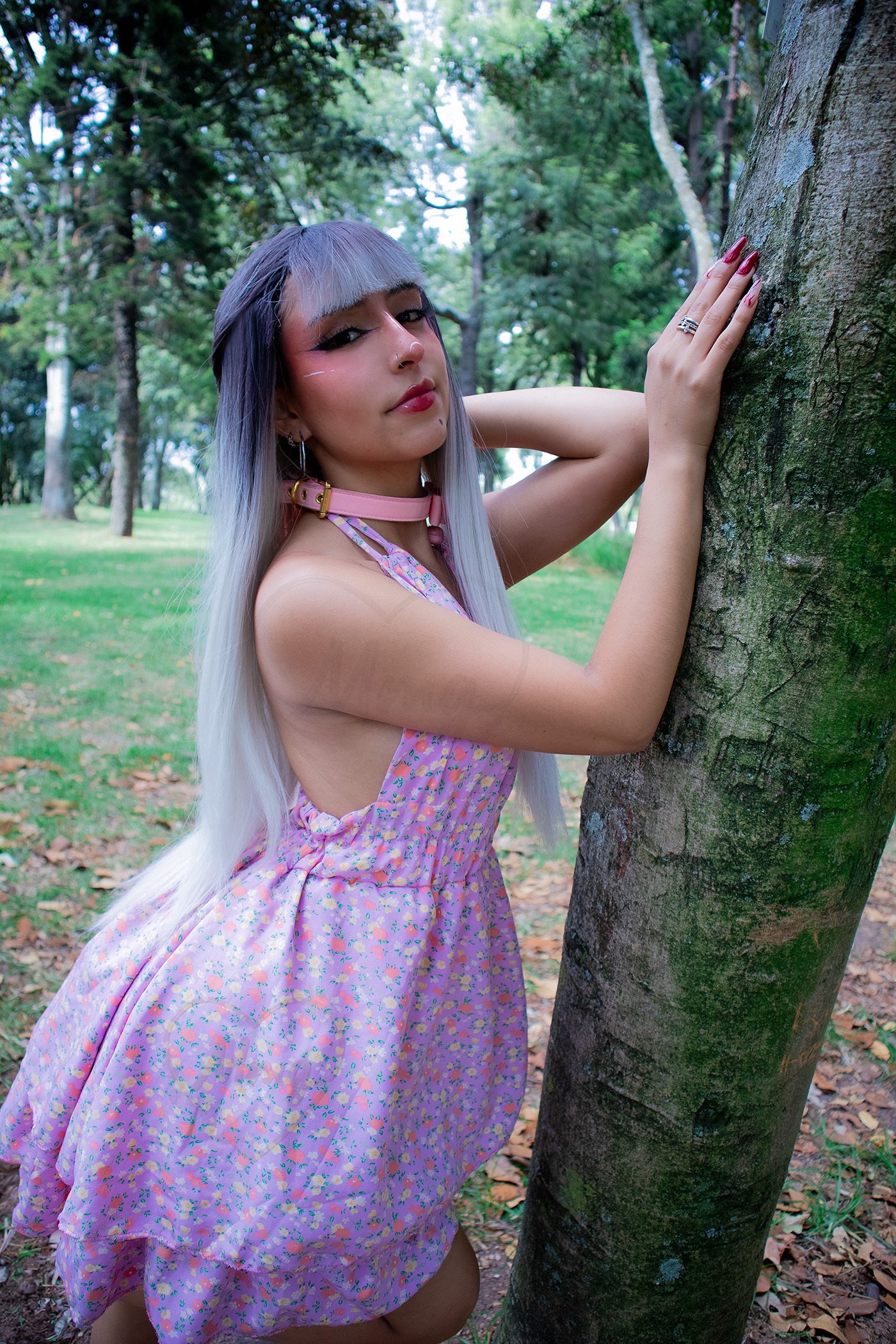 MaveParks