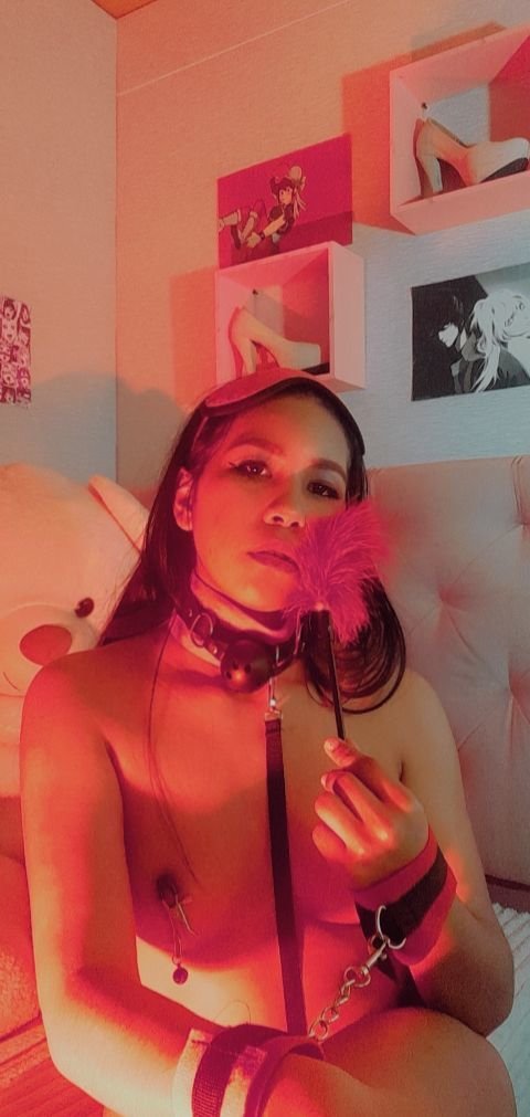 Melanylivelyx