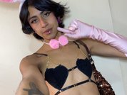 Model profile