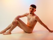 Model profile