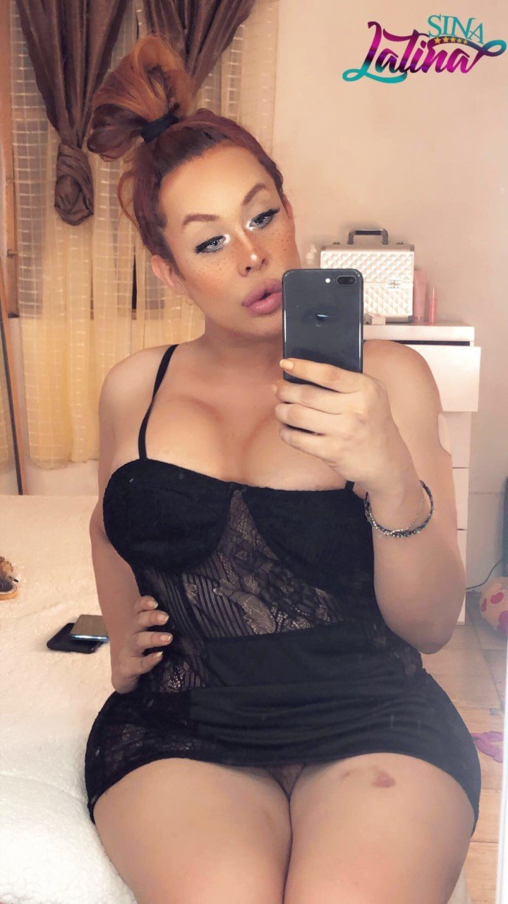 Sina_Latina