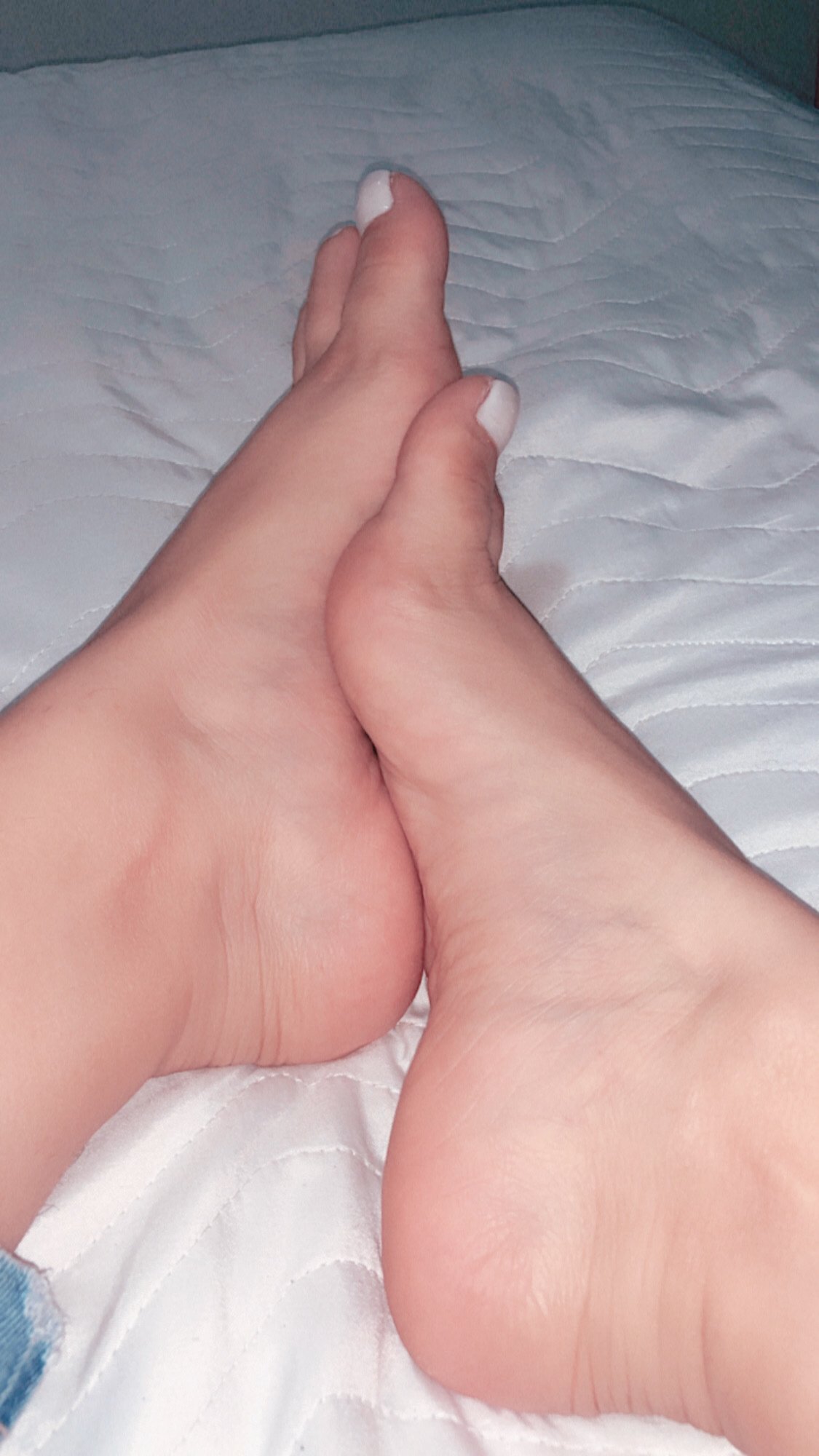 SophiaJohnes