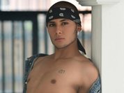 Model profile