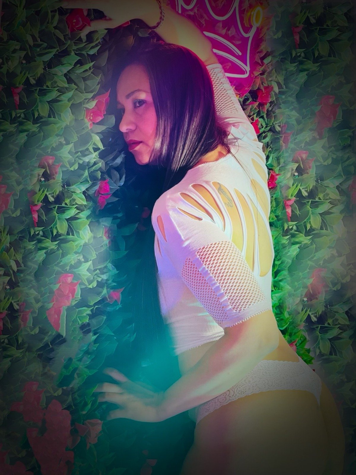 StefyZea