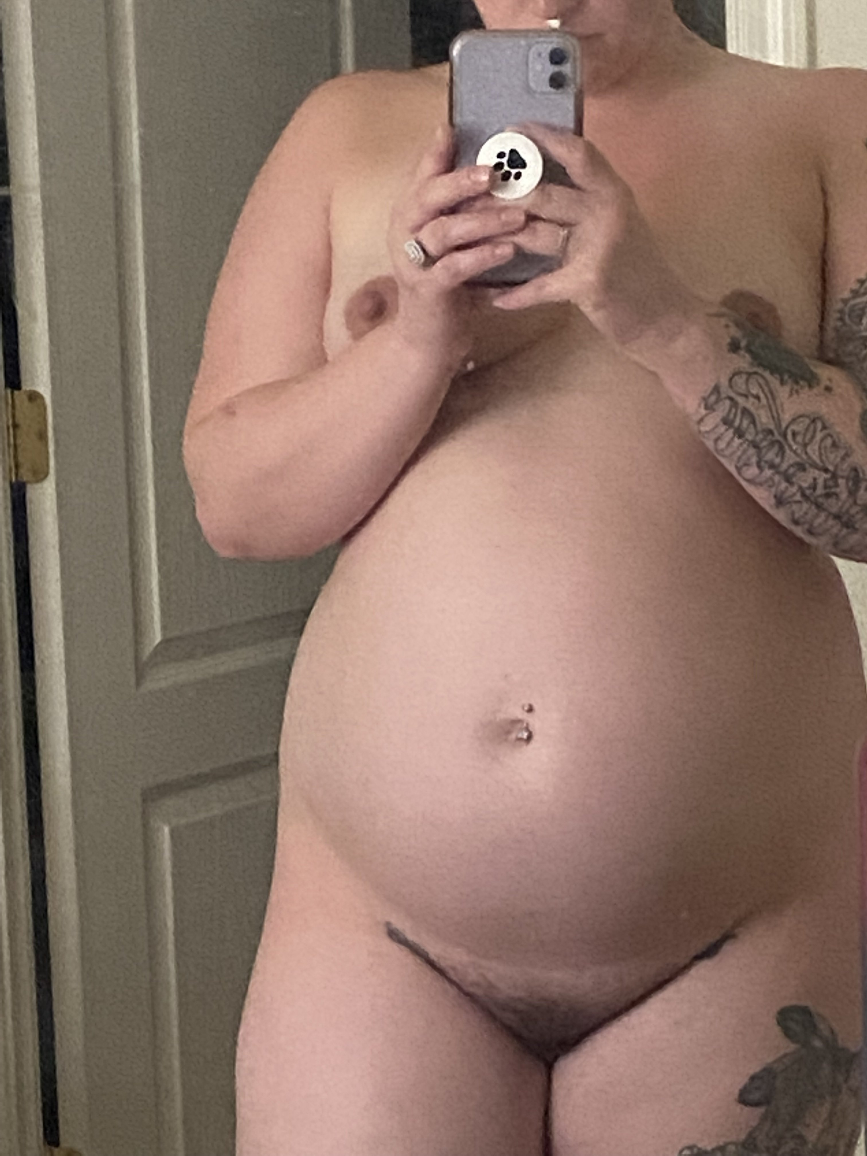SugarTatts