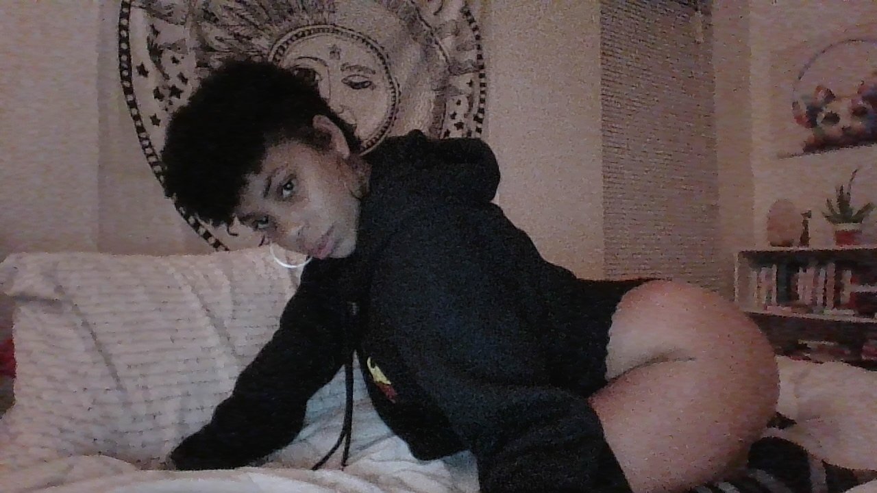 TheTrippyKittyy