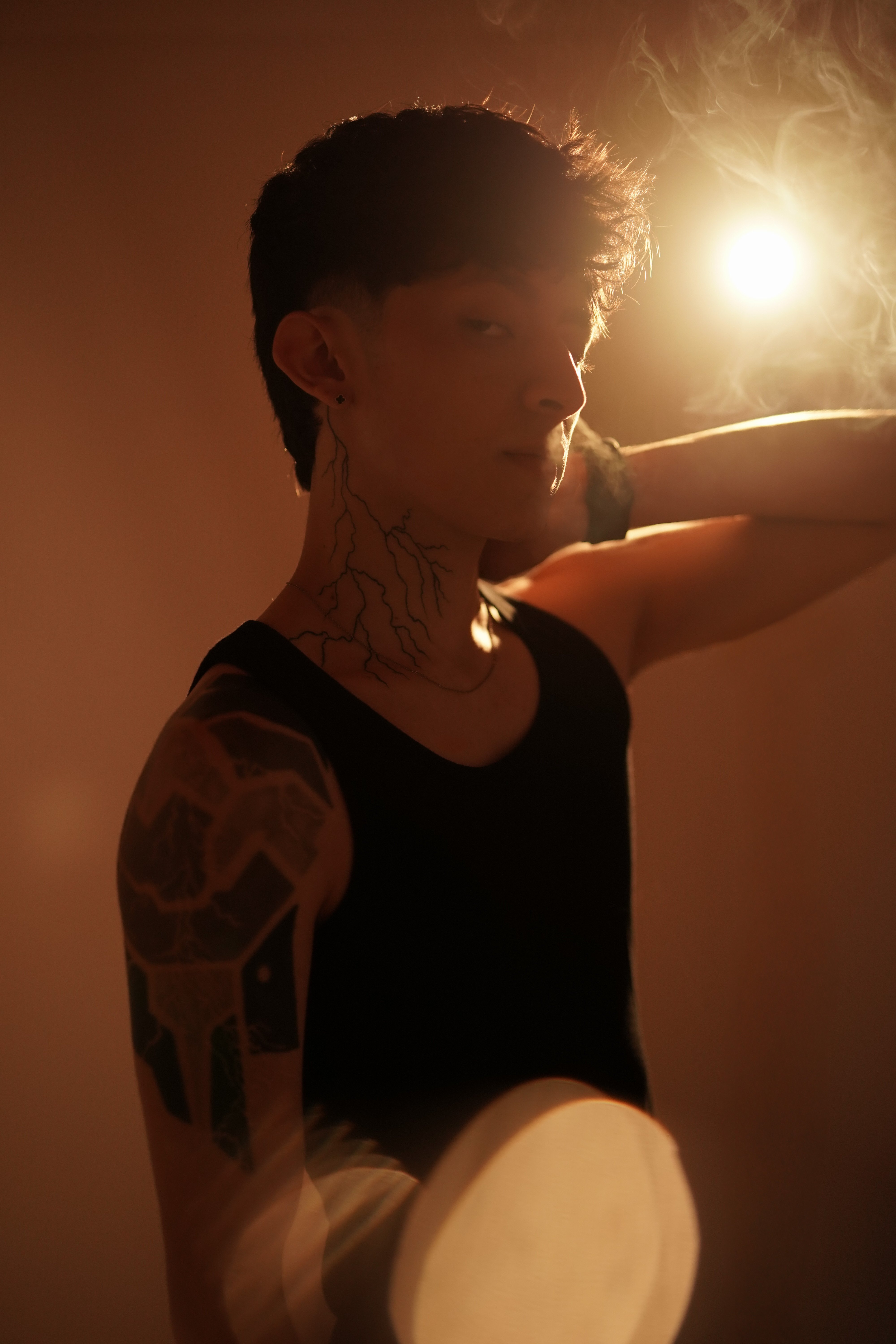 TroyRouge