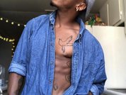Model profile