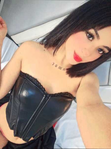 Vanessa_CrimsonF
