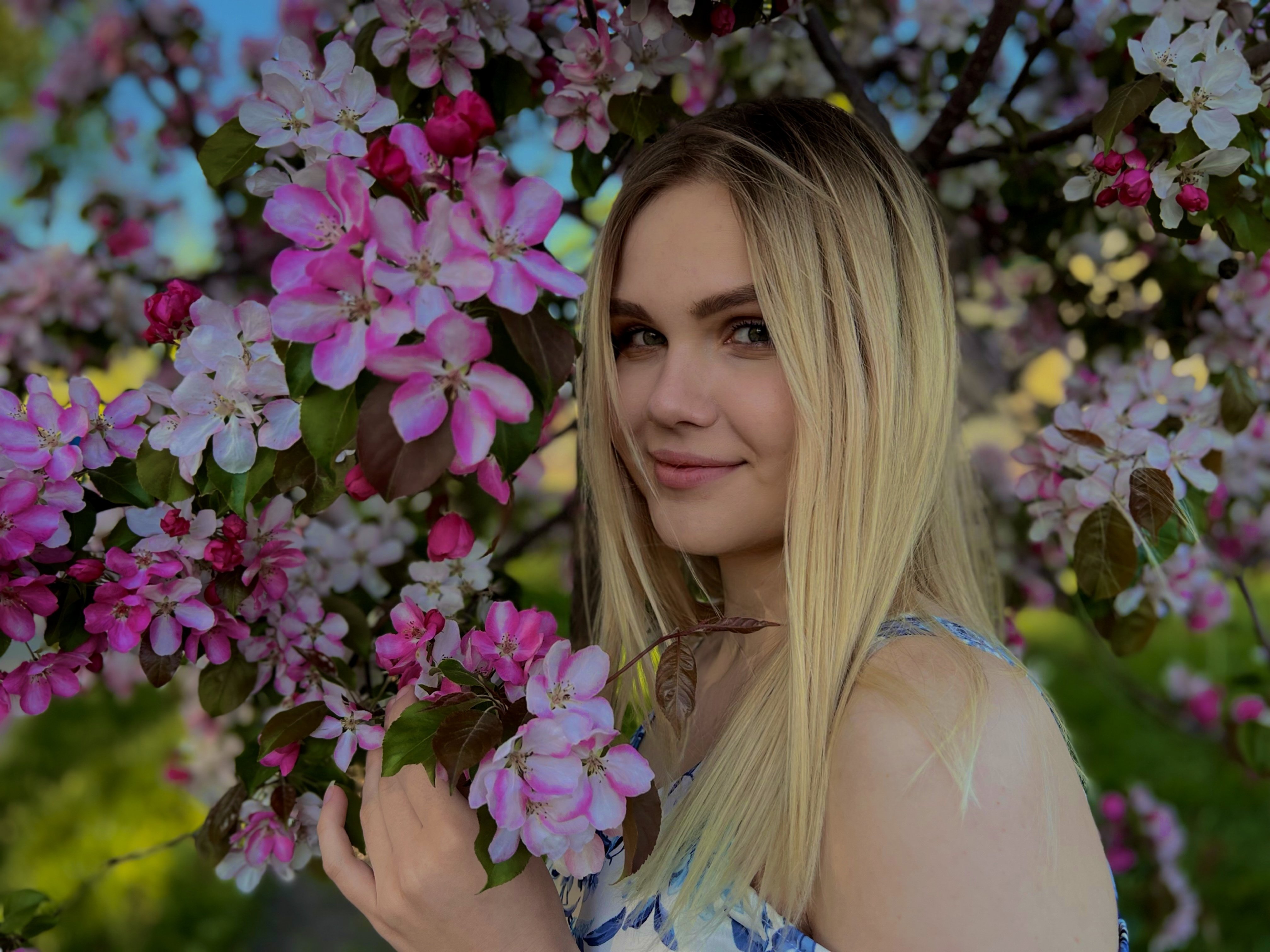 VanillaSunshine