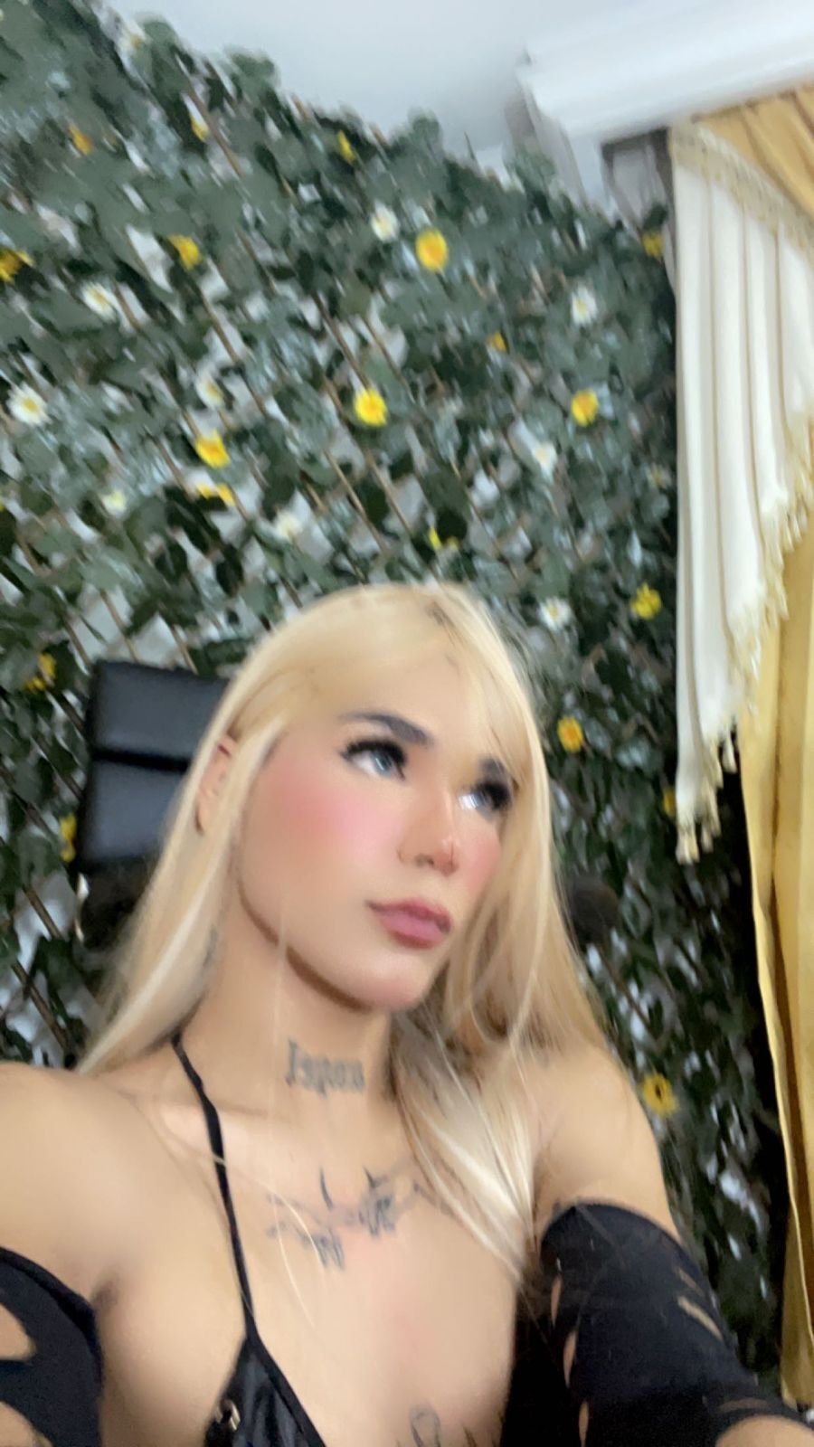 bunnyhotsx