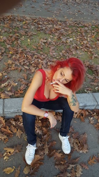 shamirawild