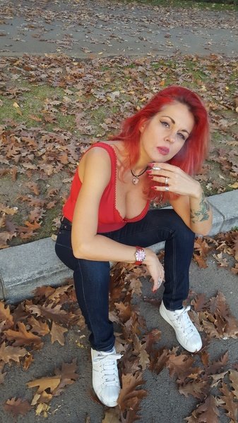 shamirawild